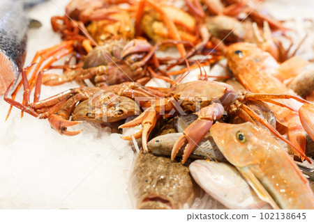 Display with crustaceans in shop Display with crustaceans in shop 102138645