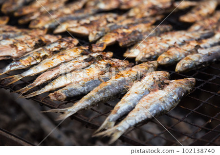 roasted small sardines fish 102138740