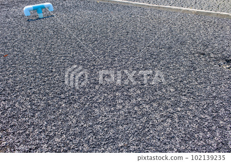 Dry Sewage sludge from a sewage treatment plant, wastewater 102139235