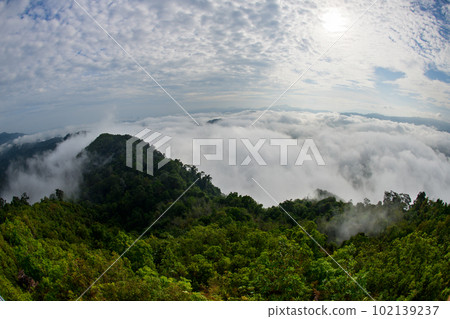 beautiful sea of mist and forest, view from Aiyoeweng View Point, Yala, Thailand 102139237