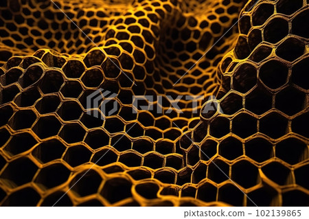 Network connection concept gold honeycomb shiny background. Futuristic Abstract 3D Geometric Background Design Made with Generative Space Illustration AI Scy fi Network connection concept gold honeycomb shiny background. Futuristic Abstract 3D Geometric Background Design Made with Generative Space Illustration AI Scy fi 102139865