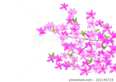 Trefoil flower card 4 102140719