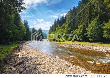 nature scenery with mountain river. green environment background with stones on the shore and forested hills 102143175