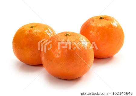 citrus seminole 102145642