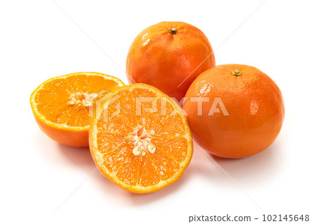 citrus seminole citrus seminole 102145648