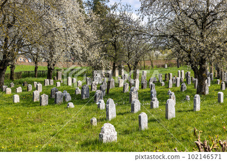 An old jewish cemetery at Hagenbach, Pretzfeld in Franconian Switzerland, Bavaria, Germany. 102146571