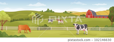 Farm panoramic landscape. Rural farmland cartoon background, agriculture abundance with cow and farmhouse in spring field, countryside green meadow on ranch, vector illustration 102146630
