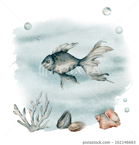 Beautiful underwater composition with watercolor sea life fish, shell, stones, seaweed, coral . illustration. Beautiful underwater composition with watercolor sea life fish, shell, stones, seaweed, coral . illustration. 102146663