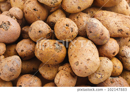 Expanded clay. small lumps of clay used in construction and for growing plants. 102147883