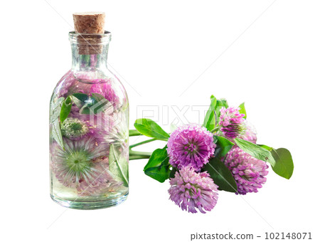 Clover tincture or infusion and clover flowers bunch, isolated. Clover tincture or infusion and clover flowers bunch, isolated. 102148071