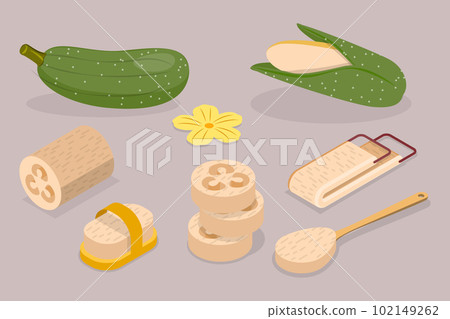 3D Isometric Flat Vector Set of Vietnamese Luffa 102149262
