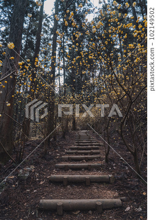 栃木縣燒森山三又聚居地 栃木縣燒森山三又聚居地 102149502