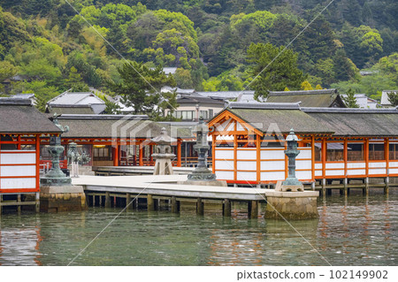 Itsukushima shrine floating in the sea Itsukushima shrine floating in the sea 102149902