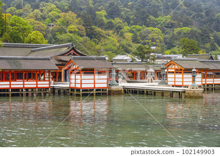 Itsukushima shrine floating in the sea Itsukushima shrine floating in the sea 102149903