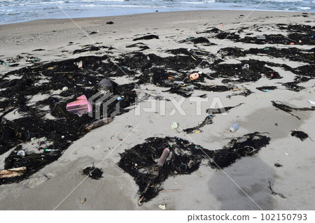 Seaweed and garbage on the seashore Floats on the coast Seaweed and garbage on the seashore Floats on the coast 102150793