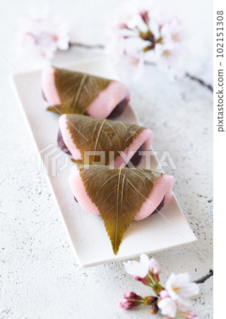 關東風格的櫻花 102151308