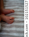 Baby (newborn) feet, close-up (portrait) 102151527