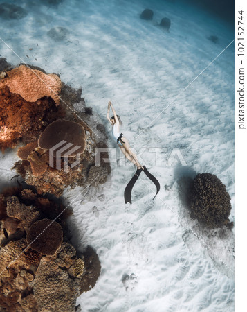 Freediver woman glides on the deep with fins near corals in tropical sea 102152744