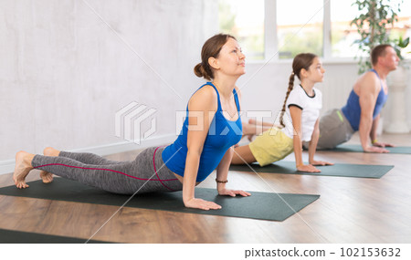 Middle-aged woman, man, preteen girl and boy practicing Cobra Pose or Bhujangasana on mats during family Hatha yoga class in wellness studio Middle-aged woman, man, preteen girl and boy practicing Cobra Pose or Bhujangasana on mats during family Hatha yoga class in wellness studio 102153632