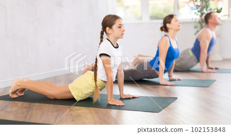 School children and their parents exercising on mats in Cobra position during family yoga training in gym fitness center indoors 102153848