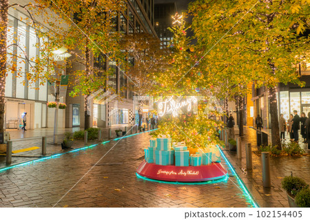 “東京”丸之內冬季燈飾“雨天” 102154405
