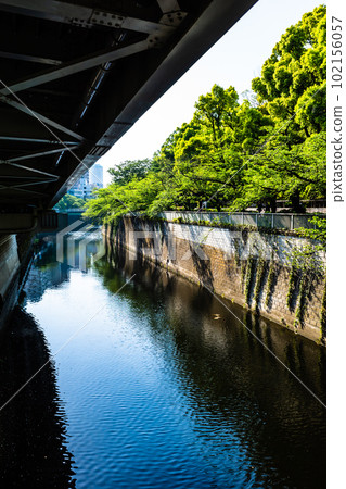 Shuto Expressway running along the fresh green riverside Shuto Expressway Route 5 Waseda Exit 2023.04 Vertical High saturation contrast 102156057
