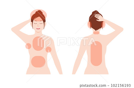 容易產生老化氣味的區域女性上半身插圖矢量圖(無字母) 容易產生老化氣味的區域女性上半身插圖矢量圖(無字母) 102156193