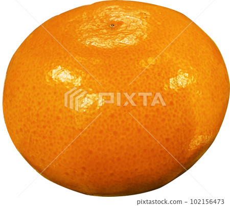 Cheon Hye-hyang,  Tangerine,  isolated on transparent background 102156473
