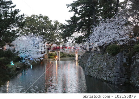 Cherry blossom viewing at Okazaki Park Okazaki City Okazaki Park Okazaki Castle Ieyasu Tokugawa Sakura Festival Cherry blossom viewing at Okazaki Park Okazaki City Okazaki Park Okazaki Castle Ieyasu Tokugawa Sakura Festival 102156879