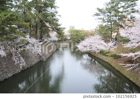 岡崎公園賞櫻 岡崎市 岡崎公園 岡崎城 德川家康櫻花節 102156925