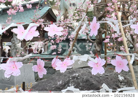 Cherry blossom viewing at Okazaki Park Okazaki City Okazaki Park Okazaki Castle Ieyasu Tokugawa Sakura Festival Cherry blossom viewing at Okazaki Park Okazaki City Okazaki Park Okazaki Castle Ieyasu Tokugawa Sakura Festival 102156928