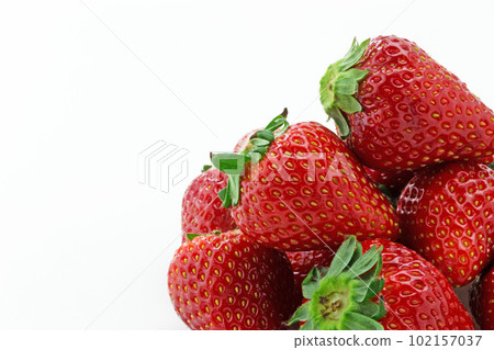 草莓栃乙女 102157037