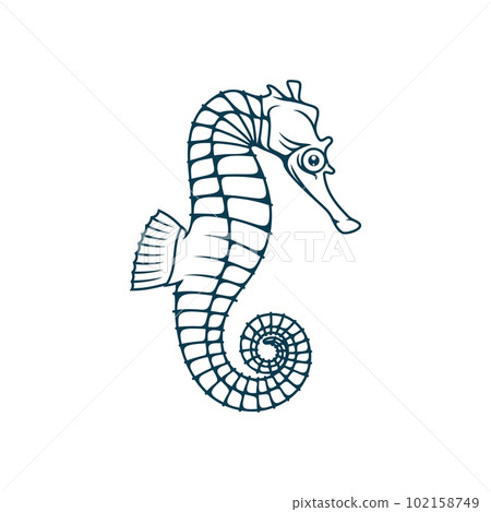 Stylized graphic Seahorse. Silhouette illustration of sea life. Sketch for  tattoo on isolated white background. Vector flat Set of icons, logo  collection Stock Vector | Adobe Stock