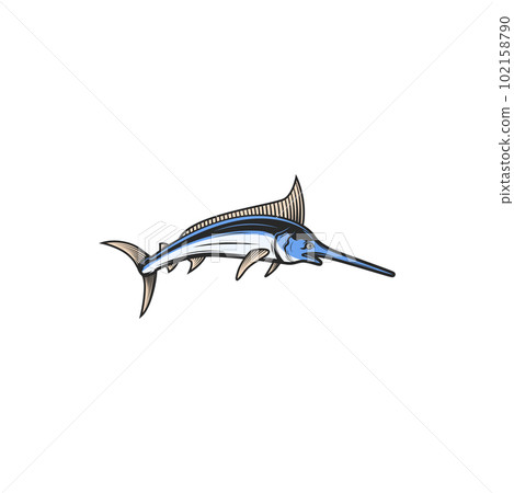 Broadbills fish sword like snout isolated swordfish cartoon icon. Vector predatory game fish with long, flat bill, Xiphiidae, seafood. Long toms marlin, broadbill saltfish with flattened snout 102158790