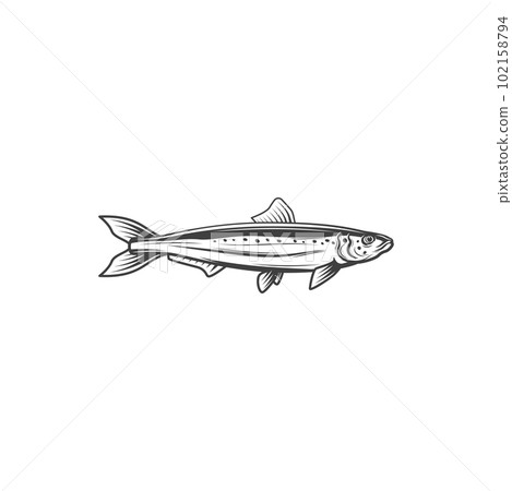Pelagic fish, isolated mackerel monochrome icon. Vector Scombrida Short indian mackerel, fishing sport trophy, short mackerel, underwater animal seafood food. Atlantic chub Wahoo scombrid fish 102158794