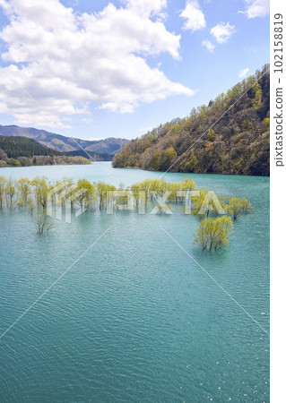 Shusen Lake submerged forest Shusen Lake submerged forest 102158819