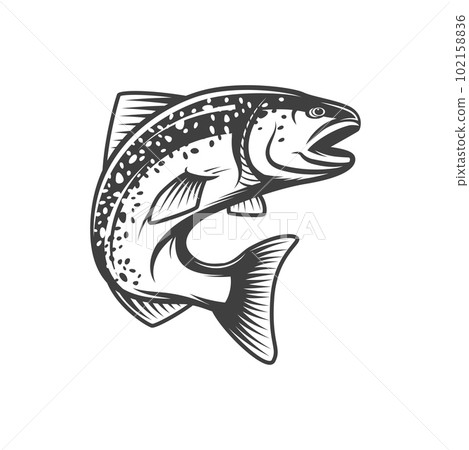 Salmon fish, fishing or food vector icon of freshwater or river fishes. Pink or humpback salmon from freshwater river for cuisine cooking food or restaurant menu and fishery market catch 102158836