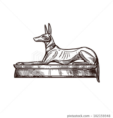 Anubis dog sketch, Ancient Egypt deity and sacred dog, vector hand drawn icon. Ancient Egyptian sacred animal deity symbol of Anubis, Egyptology and mythology in sketch Anubis dog sketch, Ancient Egypt deity and sacred dog, vector hand drawn icon. Ancient Egyptian sacred animal deity symbol of Anubis, Egyptology and mythology in sketch 102159348