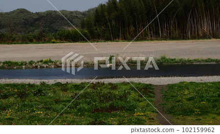 The banks of the Kuji River in spring 102159962