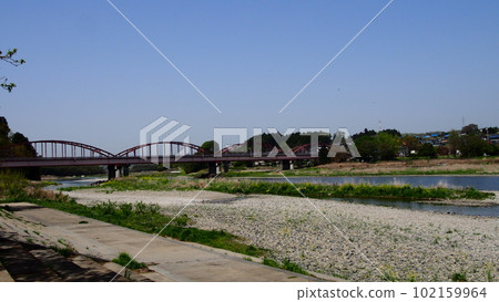 Nakagawa Bridge in spring 102159964