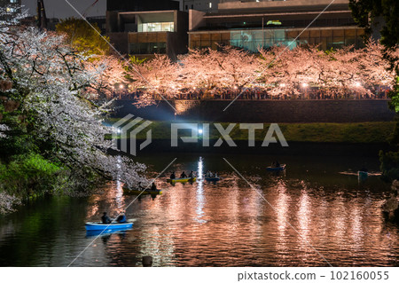 "Tokyo" Chidorigafuchi in spring, night view of cherry blossoms in full bloom "Tokyo" Chidorigafuchi in spring, night view of cherry blossoms in full bloom 102160055