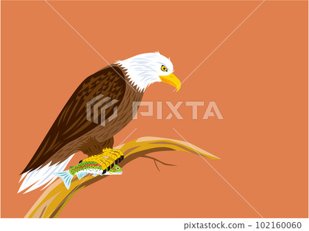 Illustration of a bald eagle catching fish at sunset 102160060