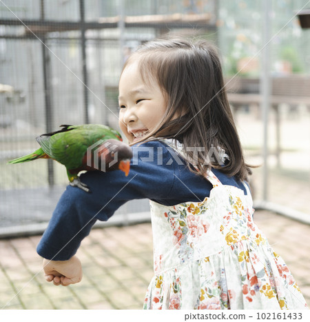 接觸一隻手乘長尾小鸚鵡的女孩 102161433