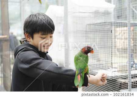 男孩和一隻鸚鵡玩耍 102161834