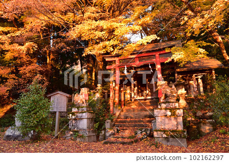 Autumn leaves at Shisho Shrine in Sagabara, Kyoto 102162297