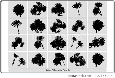 Flower aster silhouette vector bundle collection 102163022