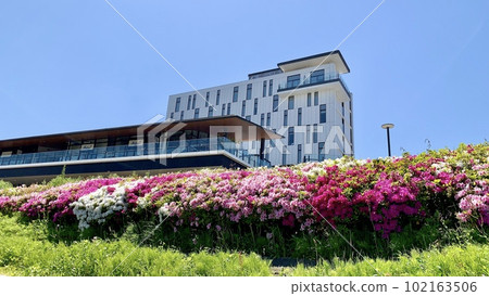 大鳥河濱露台、東岡崎格蘭德酒店、盛開的杜鵑花<乙川河濱公園/愛知縣岡崎市>在藍天閃耀 大鳥河濱露台、東岡崎格蘭德酒店、盛開的杜鵑花<乙川河濱公園/愛知縣岡崎市>在藍天閃耀 102163506