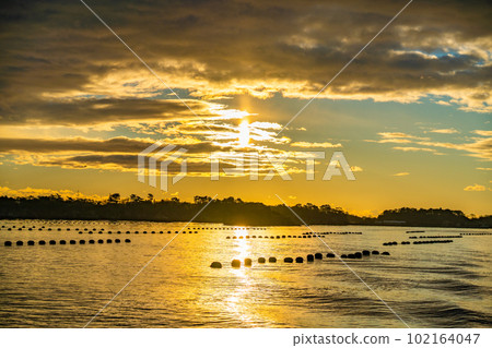 Matsushima, one of Japan's three most scenic spots, the first sunrise seen from a boat, the sunrise, the morning view, Matsushima-cho, Miyagi Prefecture Matsushima, one of Japan's three most scenic spots, the first sunrise seen from a boat, the sunrise, the morning view, Matsushima-cho, Miyagi Prefecture 102164047