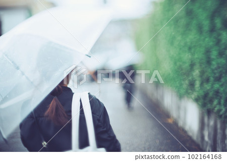 Back view of a woman holding an umbrella 102164168