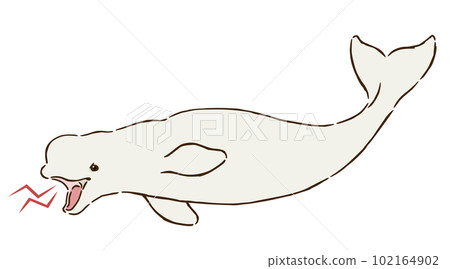 Angry Beluga (Beluga) 102164902